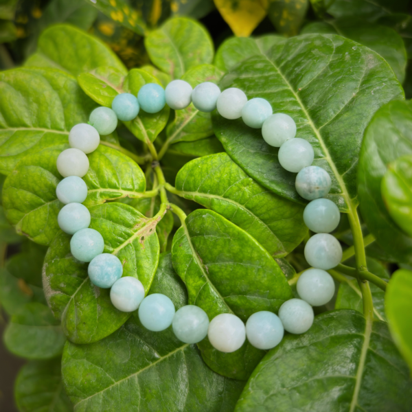 AMAZONITE BRACELETS Large