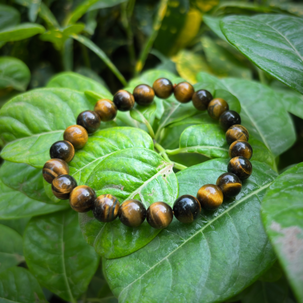 Tiger eye Bracelet Large